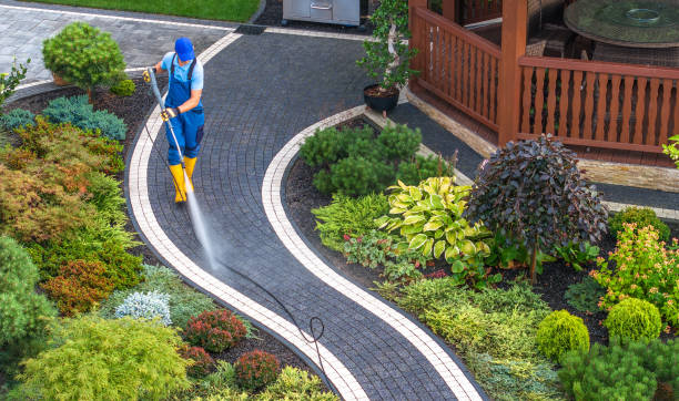 Best Roof Power Washing Services  in Woodsville, NH